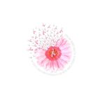 粉色花瓣白底图