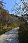 松树岭山路