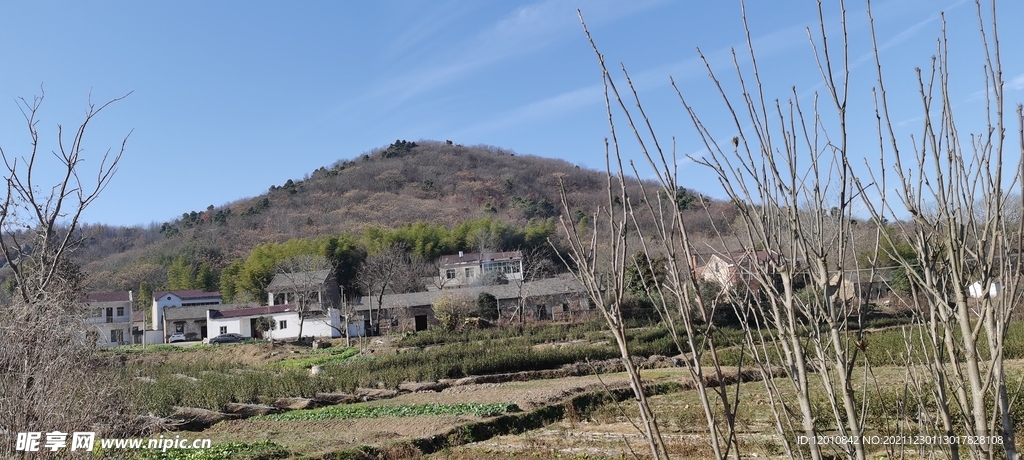 乡村风景