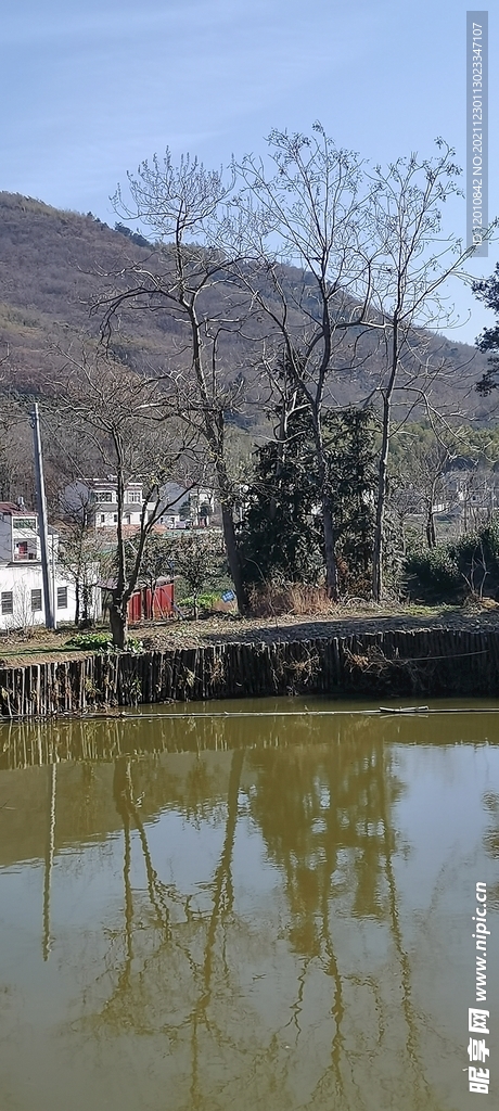 乡村风景 