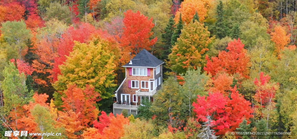加拿大枫叶木屋