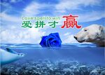 拼命才赢