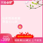 淘宝天猫电商直通车主图促销边框