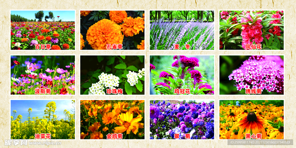 花