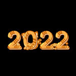 2022（1）虎