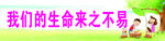 生命来之易