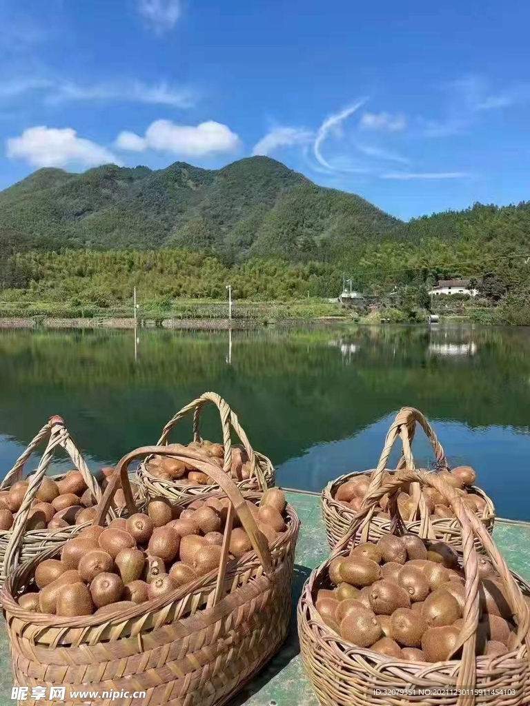 猕猴桃
