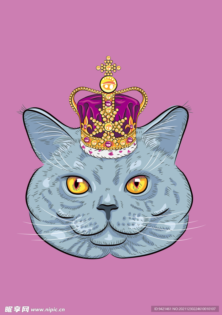 猫