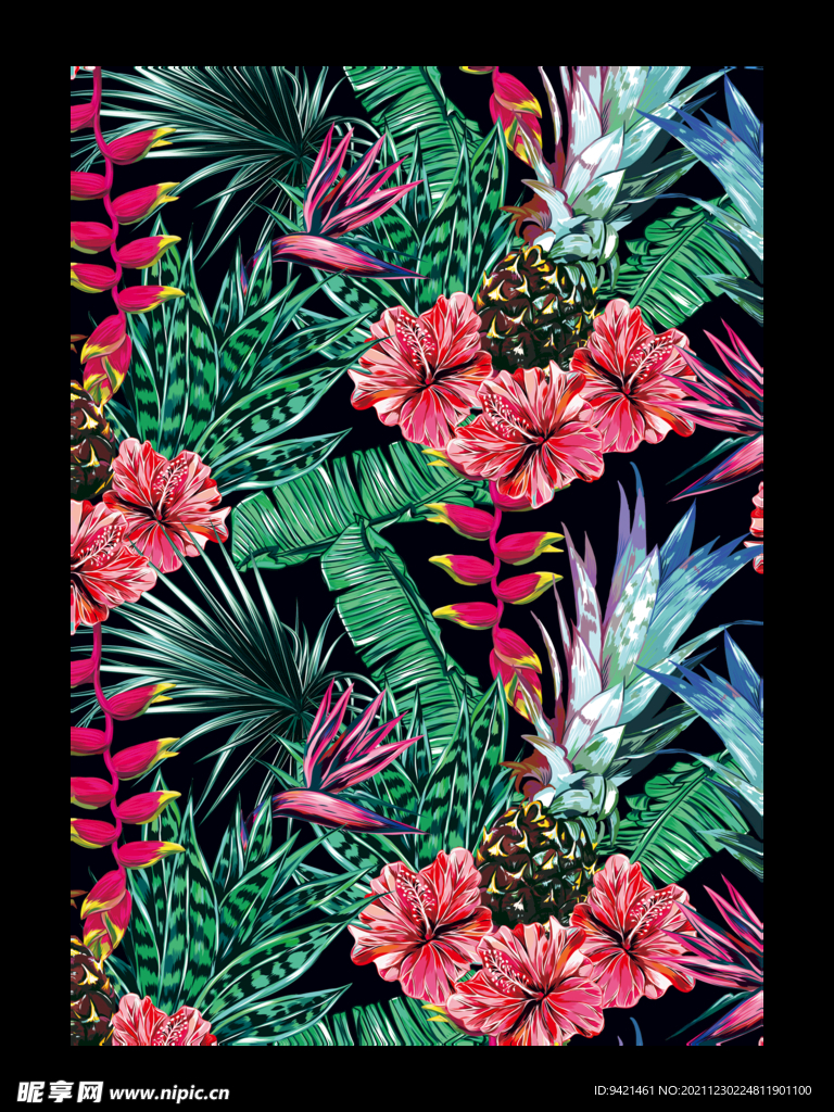 花卉植物