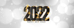 2022年字体 