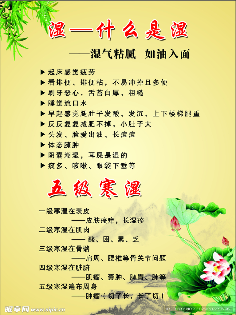 什么是湿