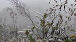 风雪无阻