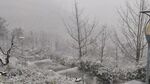 西门吹雪