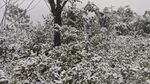 徒步雪岭