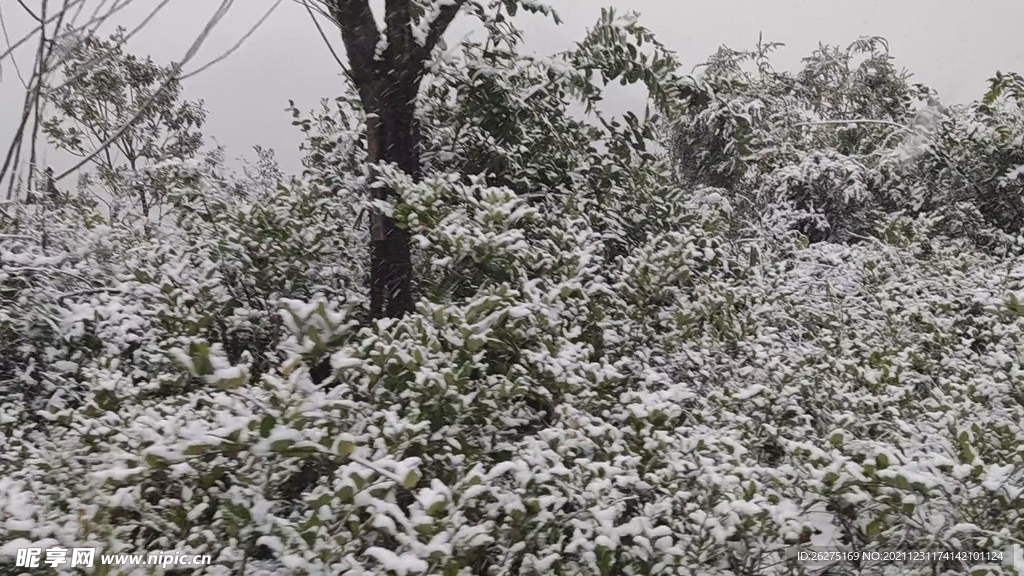 徒步雪岭