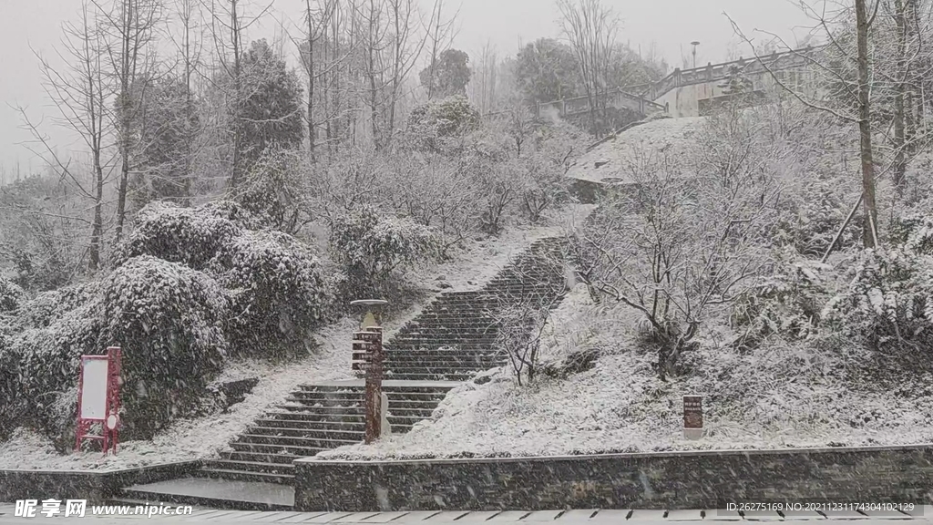 公园雪景