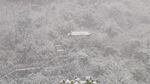 飘雪