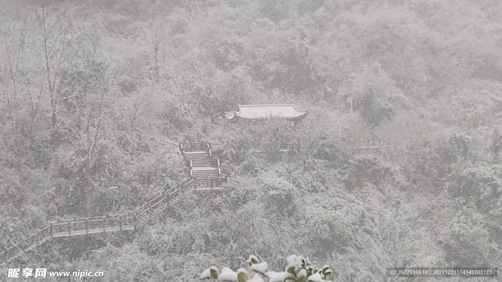 飘雪