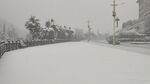 雪景一角