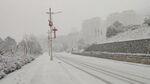 路雪