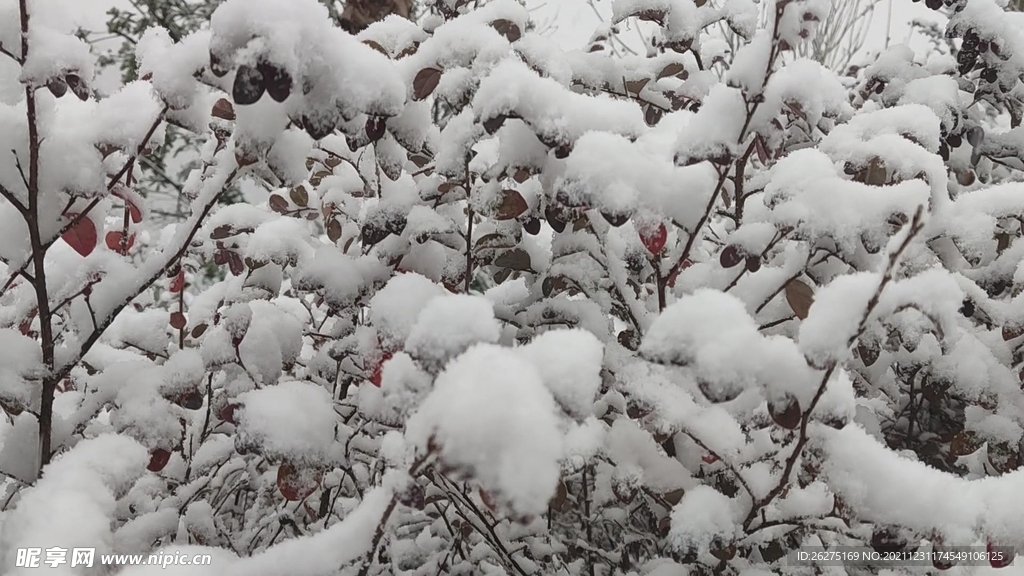 雪景