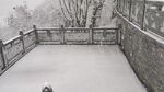 冬雪平台