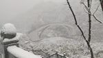 冬雪风景