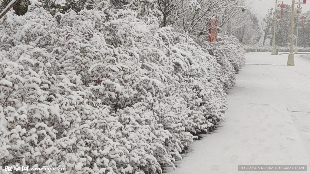 冬雪飘飘