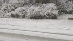 飘雪  雪景