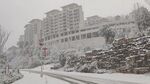 北郊湖雪景