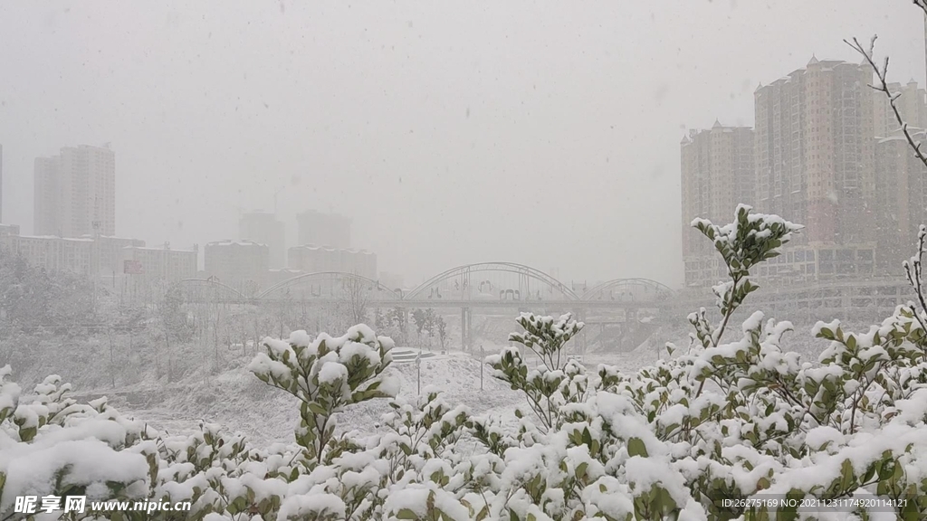 冬雪