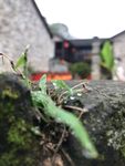 景色宜人
