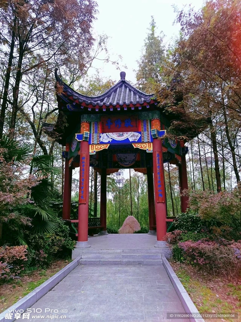 花草