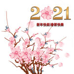 2021新年粉色花朵