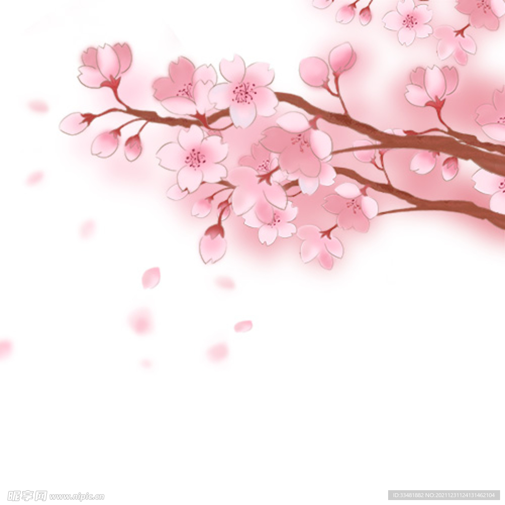 粉色樱花