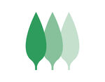 树叶logo