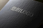 印金印银效果logo样机