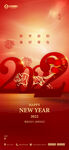 2022 虎年新年 