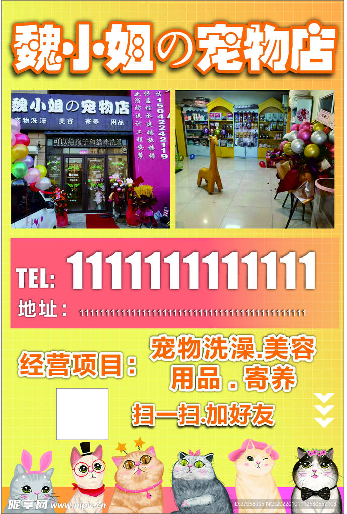 魏小姐的宠物店