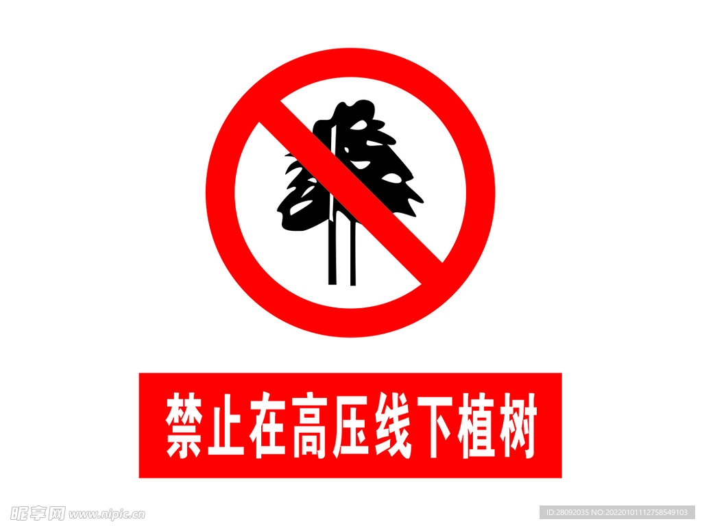 禁止在高压线下植树