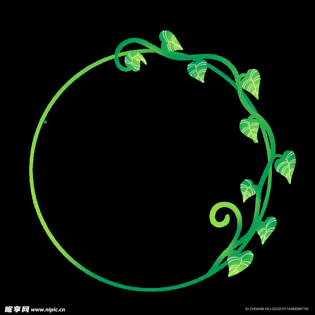 春天 春季 绿色 植物  边框