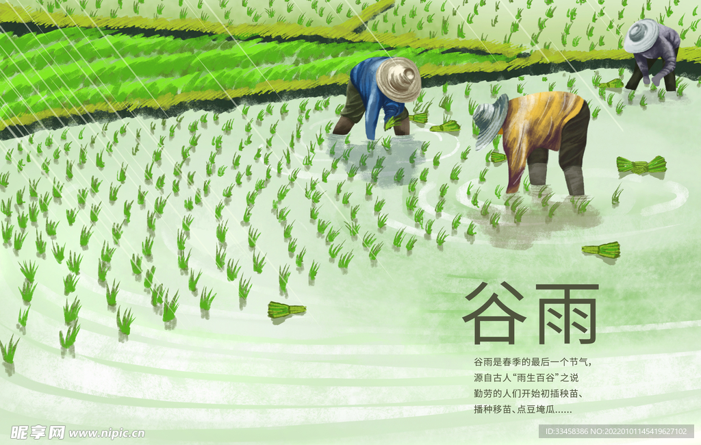 谷雨插秧