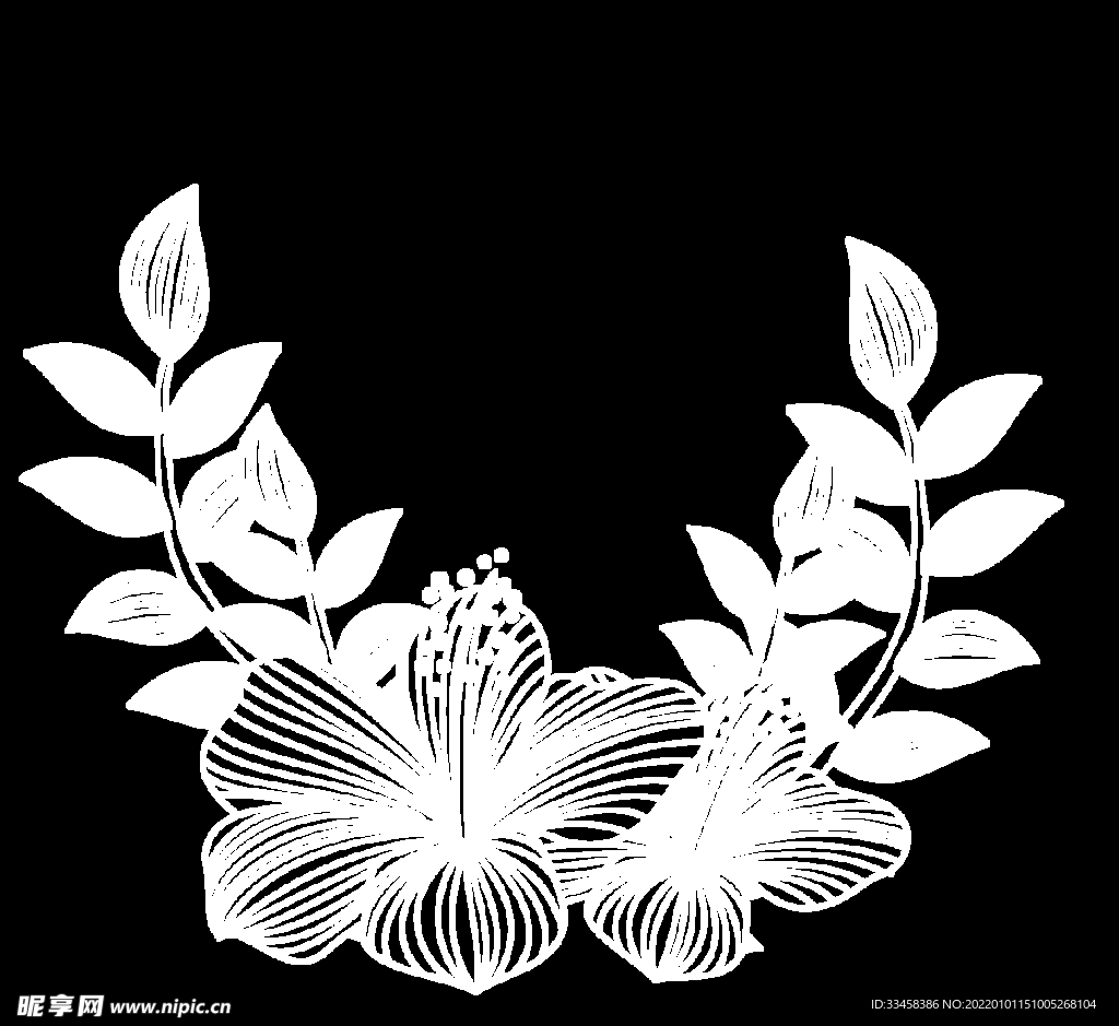 手绘白色线稿花卉叶子