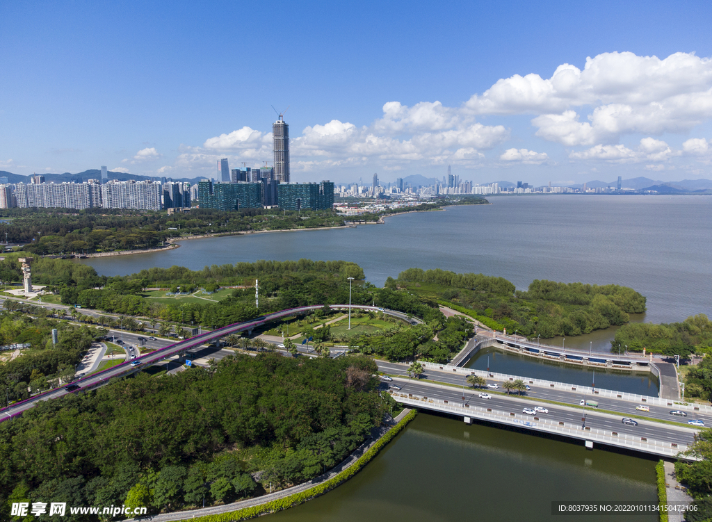 深圳湾公园 