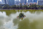 深圳洪湖公园