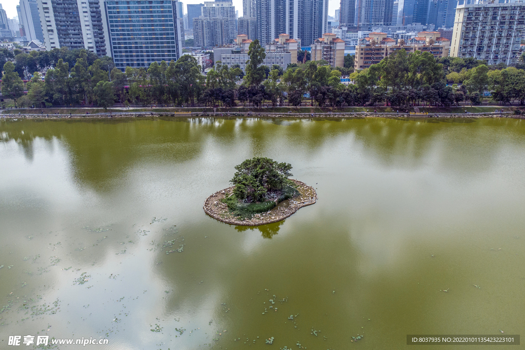 深圳洪湖公园