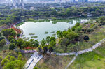 深圳中心公园北区