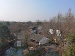 西溪湿地