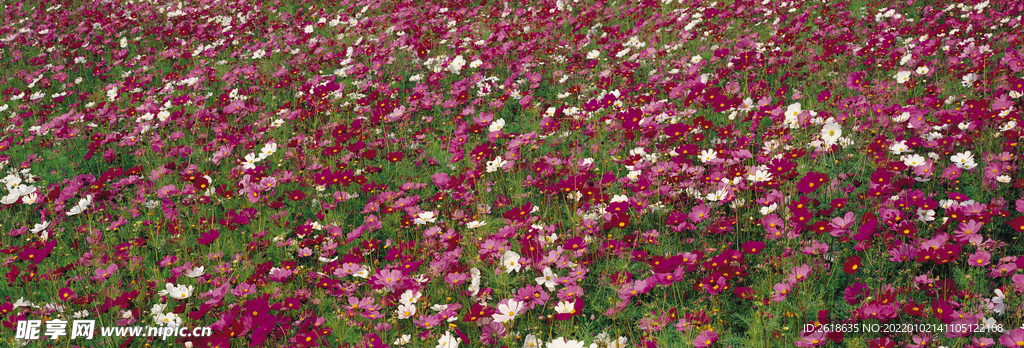 花
