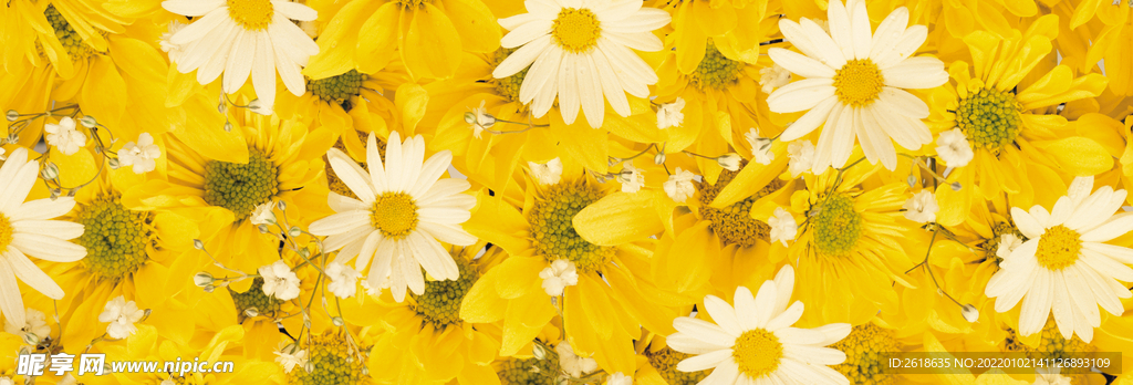 花